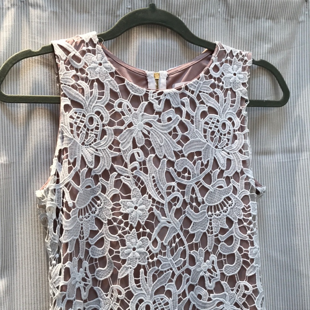Stunning Lace Sheath Dress - Picture 3 of 7